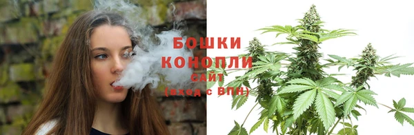 ГАЛЛЮЦИНОГЕННЫЕ ГРИБЫ Аша