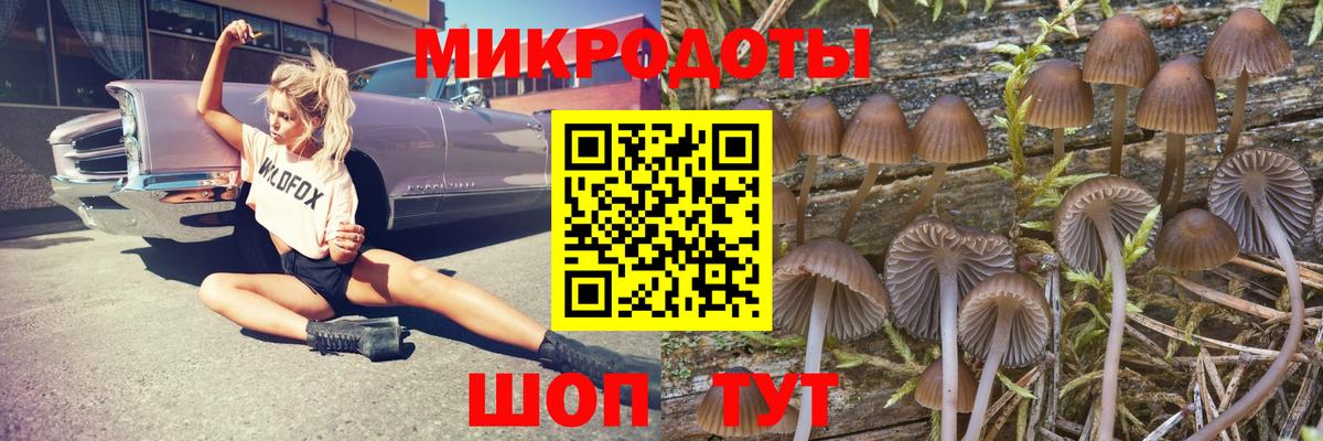 Псилоцибиновые грибы Magic Shrooms  Вход с VPN  Заводоуковск 