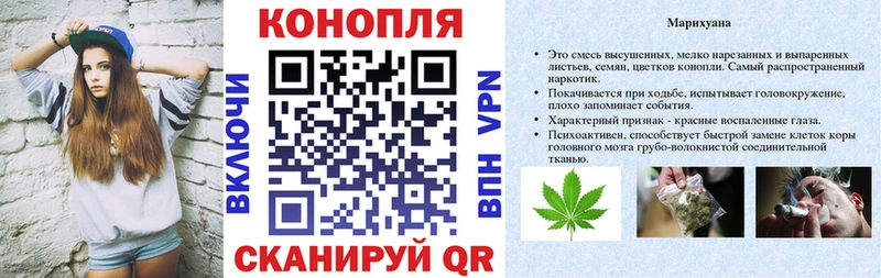 цена наркотик  Заводоуковск  Конопля семена 